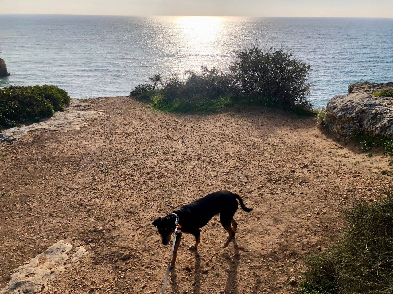 Carvoeiro Algarve Portugal