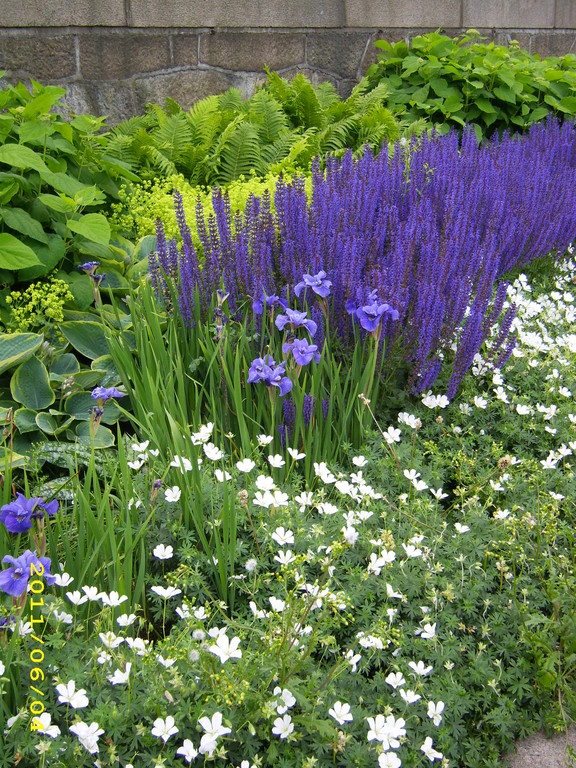 Blumenbeet in Malmö, LandFrauen Bordesholm