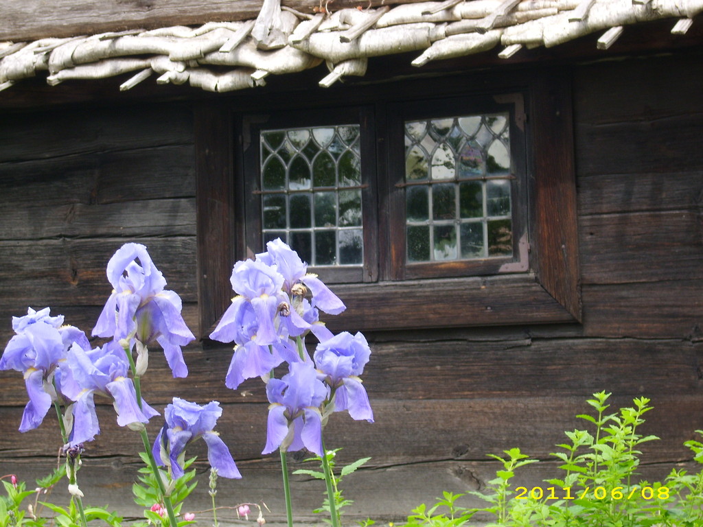 Freilichtmuseum; LandFrauen Bordesholm