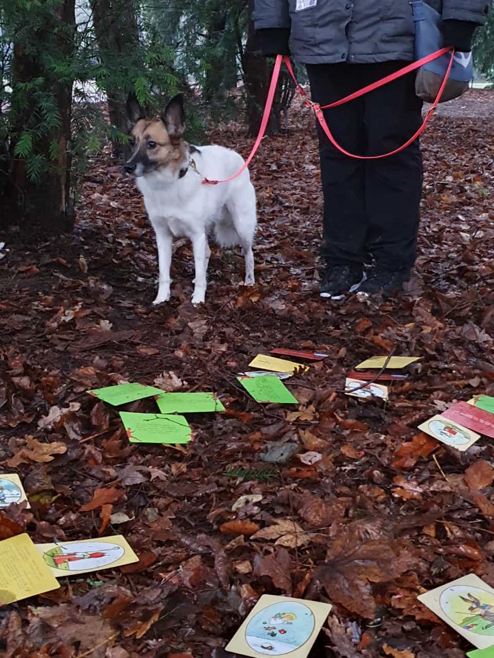 Hund und Mensch sind konzentriert bei der Sache und arbeiten gemeinsam an dem Kriminalfall.