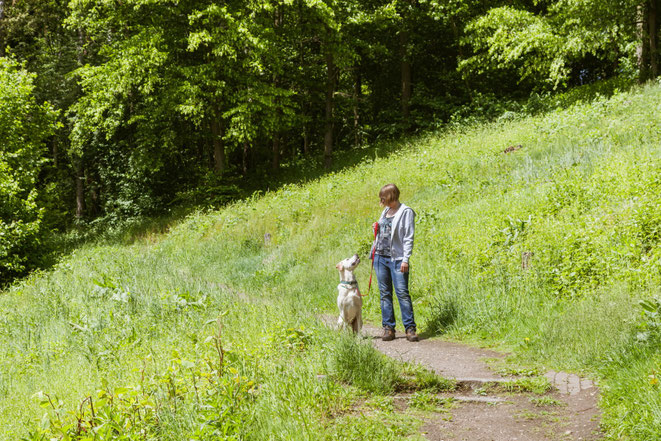 Spaziergang mit Hund