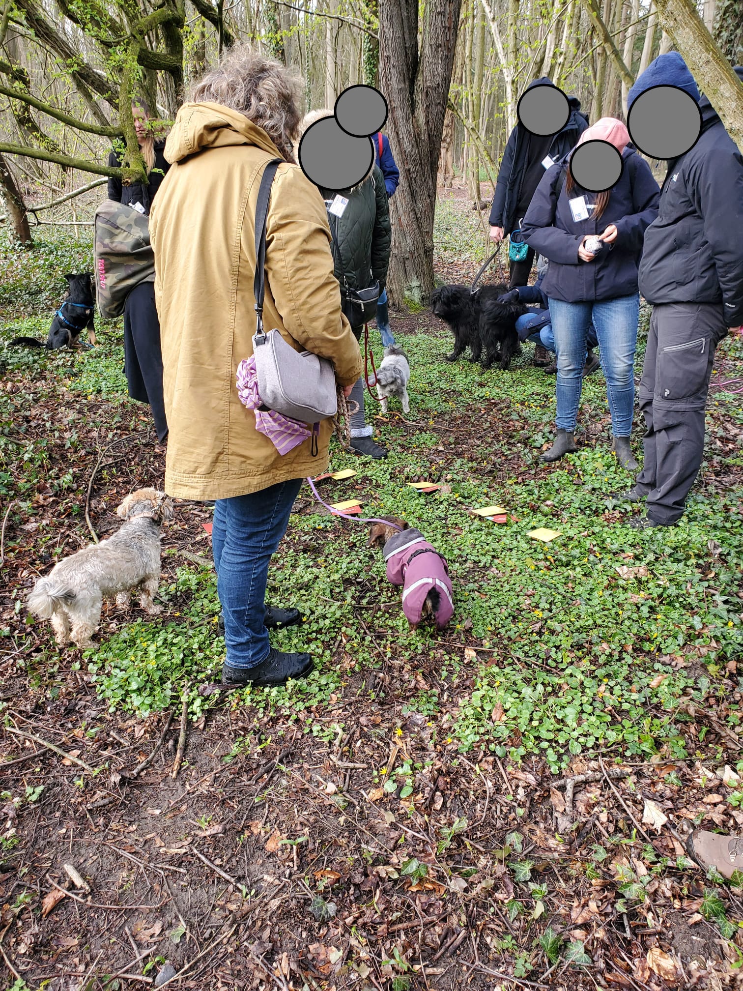 Die Mensch-Hund-Teams ermitteln gemeinsam im Kriminalfall