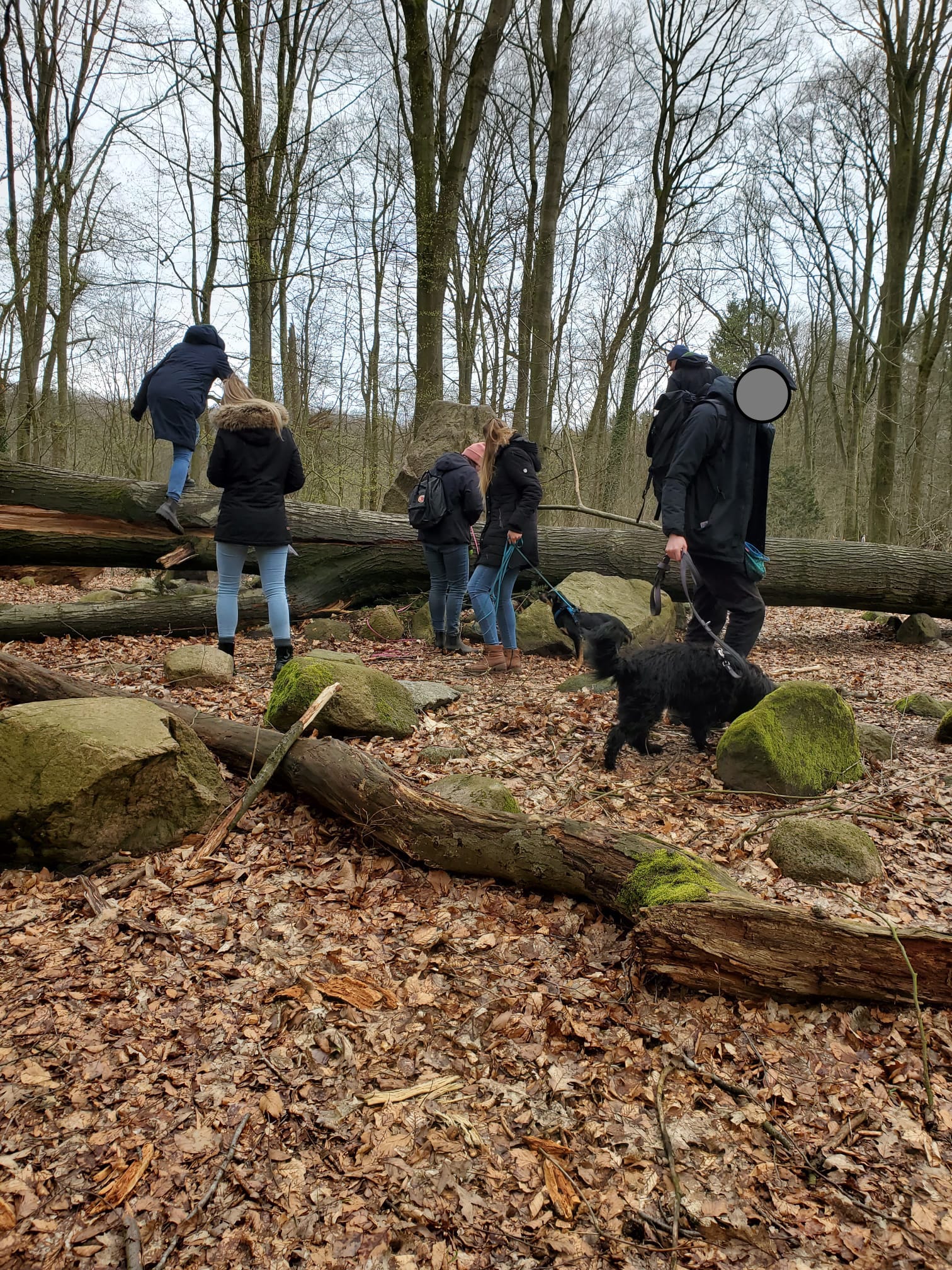 Teamwork stärkt die Bindung von Mensch und Hund