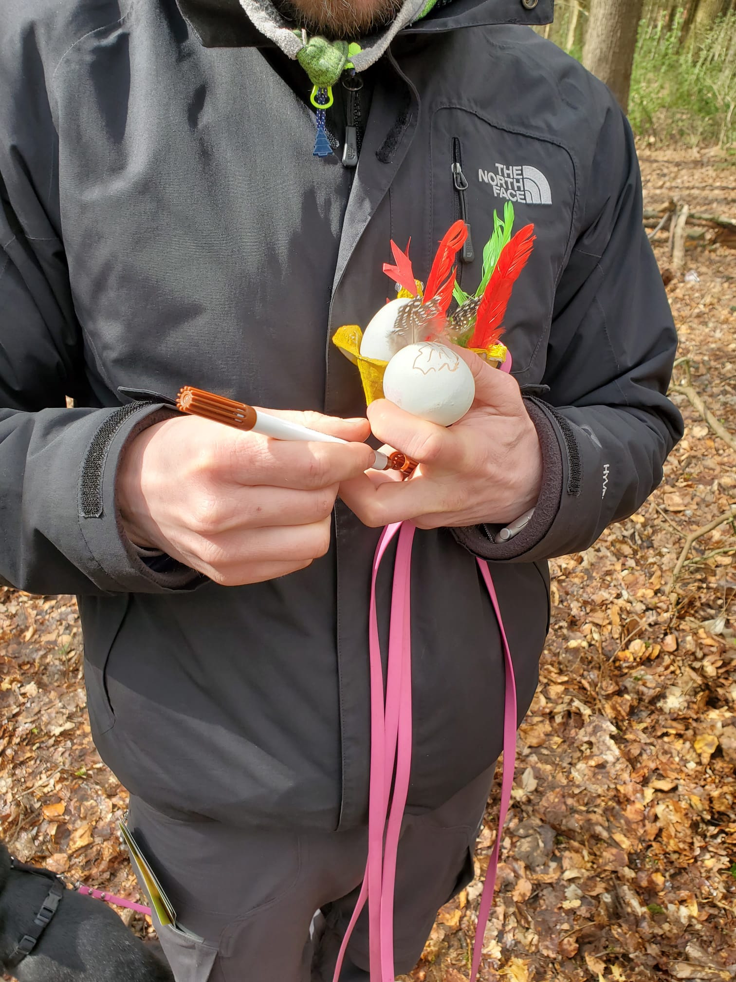 Wo ist Berta, die Lieblingshenne des Osterhasen?