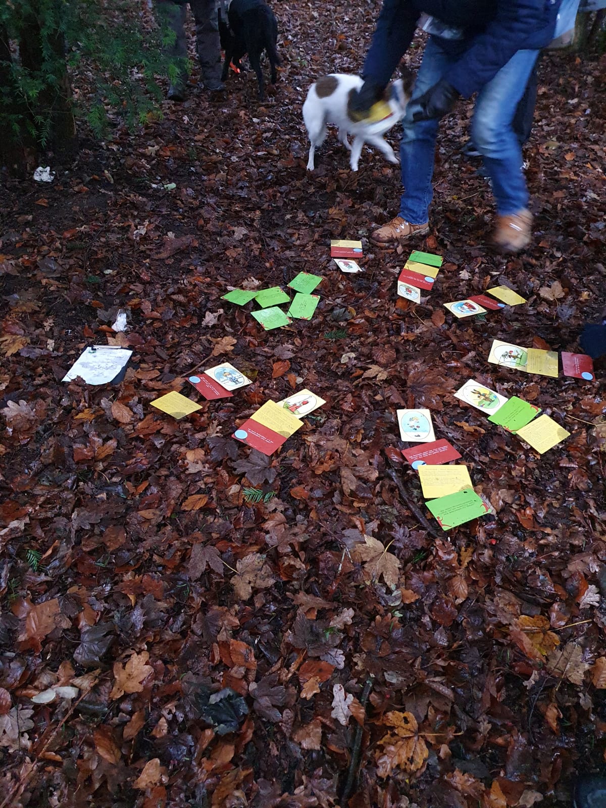 Mithilfe der Hinweiskarten können die Mensch-Hund-Teams den kniffligen Fall lösen.