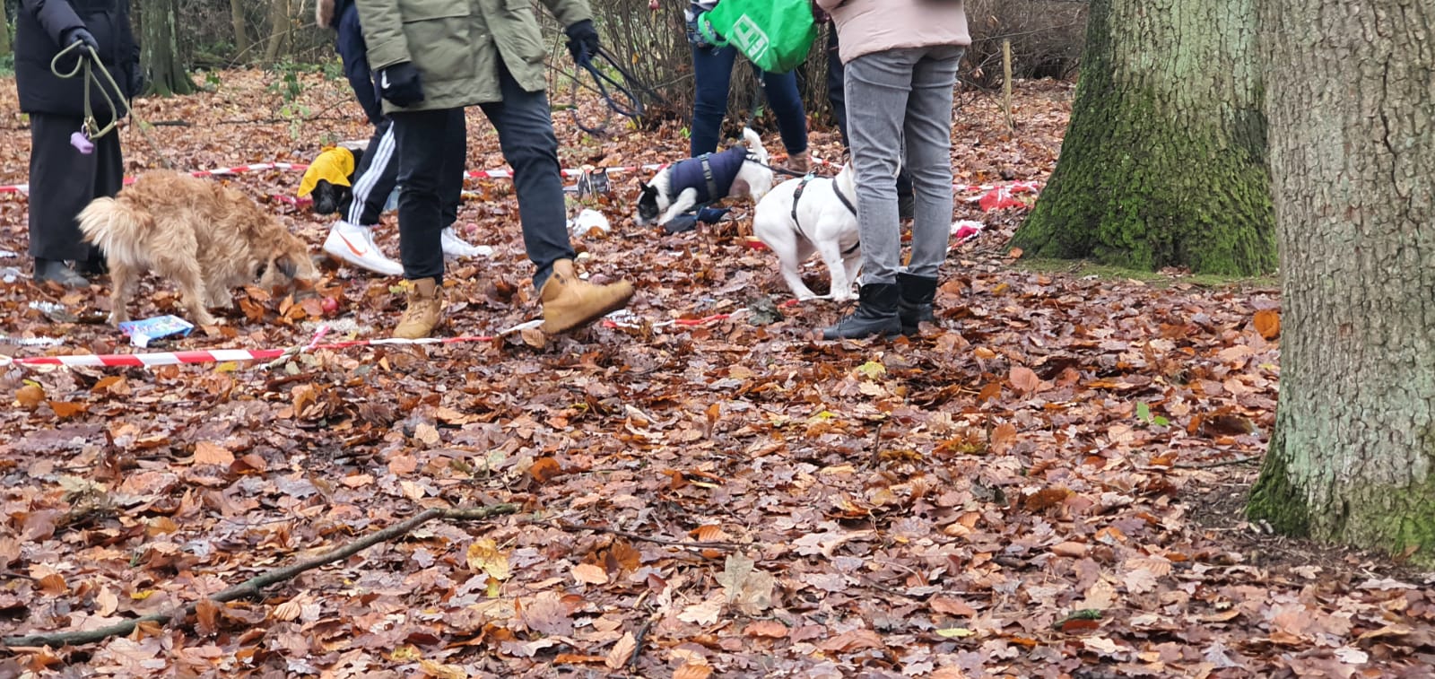 Die Teilnehmer des Crime-Walks im Hamburger Stadtpark suchen nach Hinweisen, um den rätselhaften Fall zu lösen.