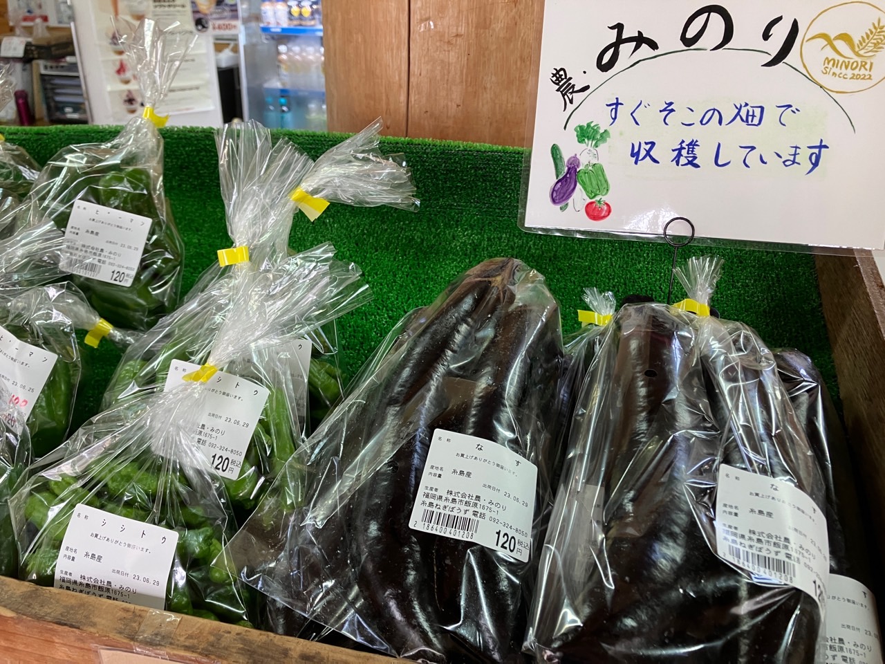 ナスの初収穫が出来ました。
