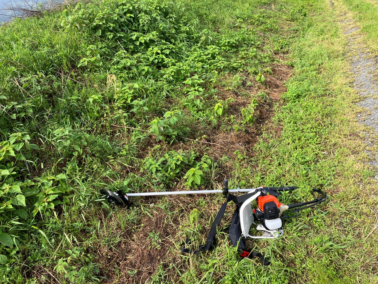 草刈り作業