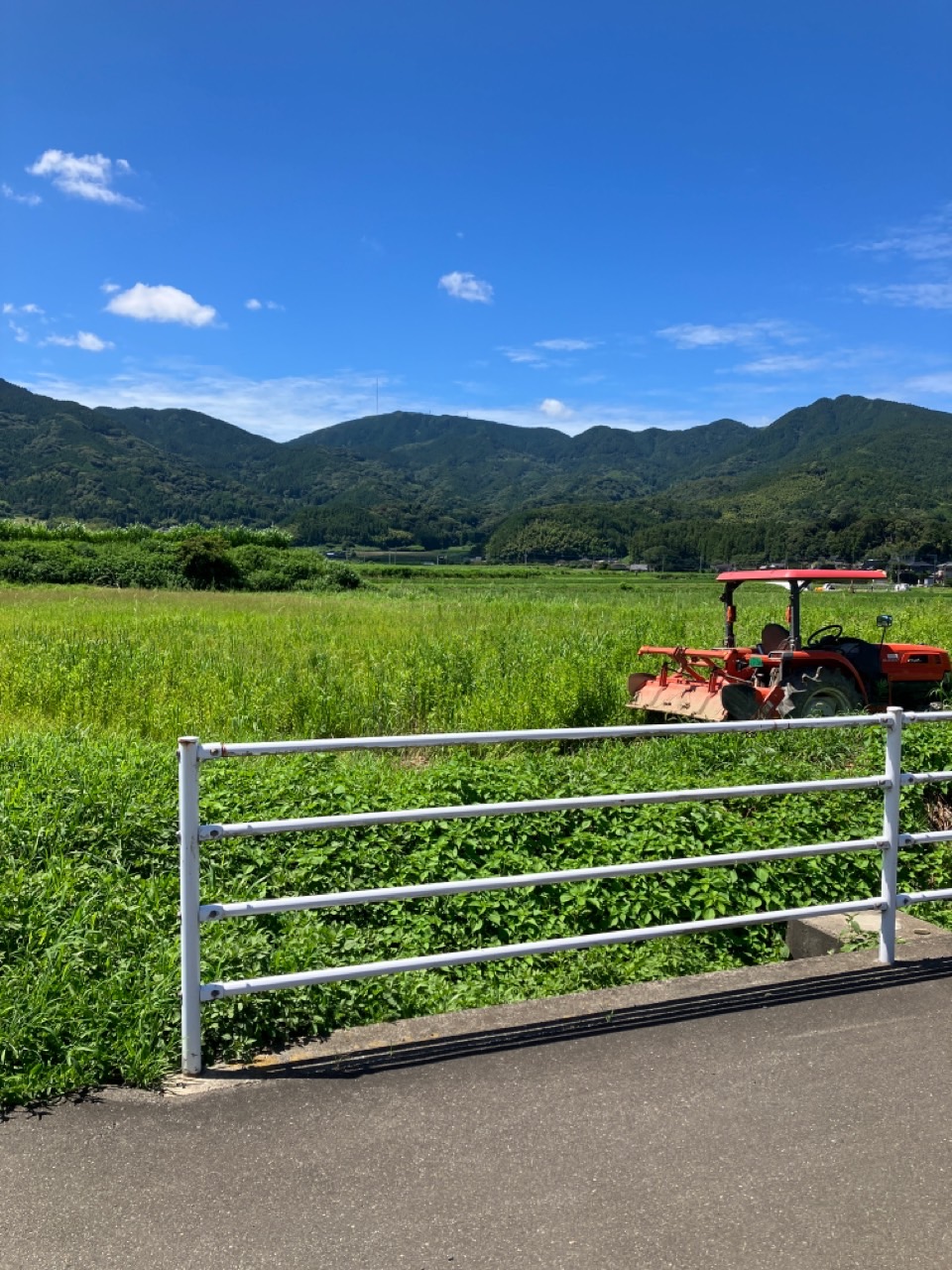 耕作放棄地だったところを綺麗にしていきます。