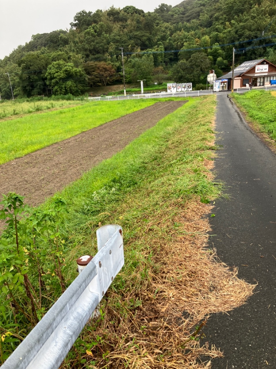 草刈りの【２０a】を行いました。