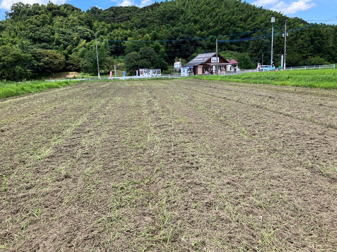 自社、運営している産地直売所の目の前の畑を綺麗にしています。