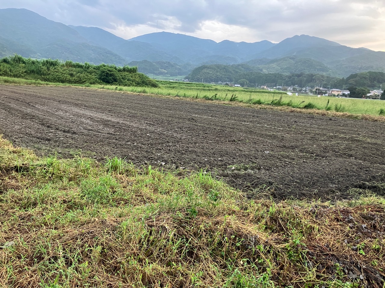 雨の前に畑を耕耘しています。