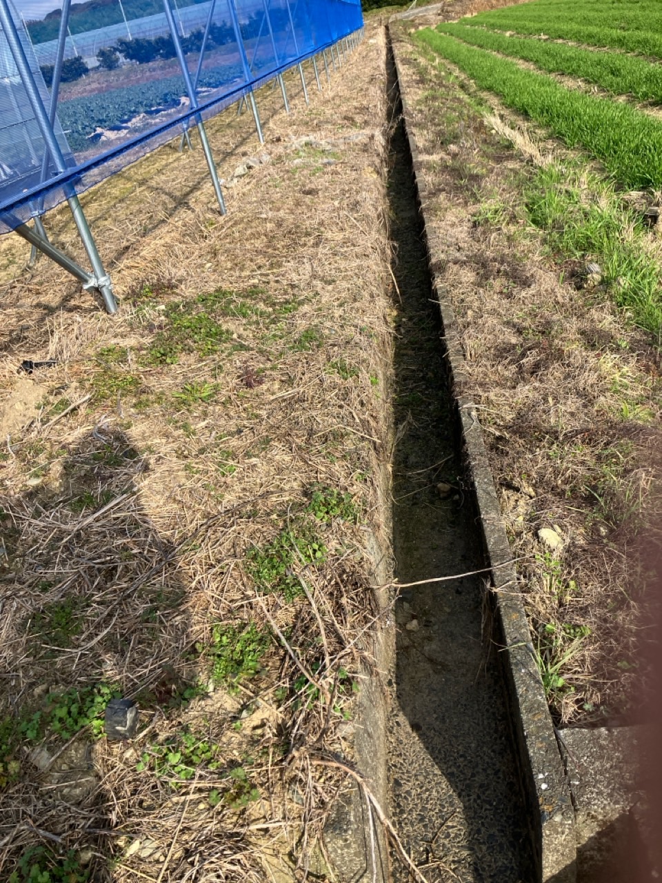春に向けて溝さらえを行いました。