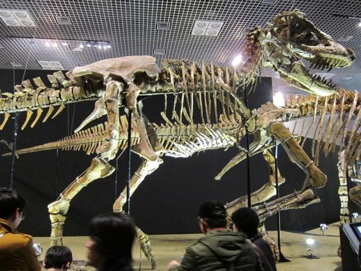 タルボサウルスの骨