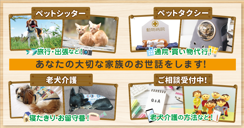 わんちゃん猫ちゃんをはじめとしたペットシッター 通院などにご利用ください、ペットタクシー 老犬の訪問介護で負担を軽く その他相談お受けします