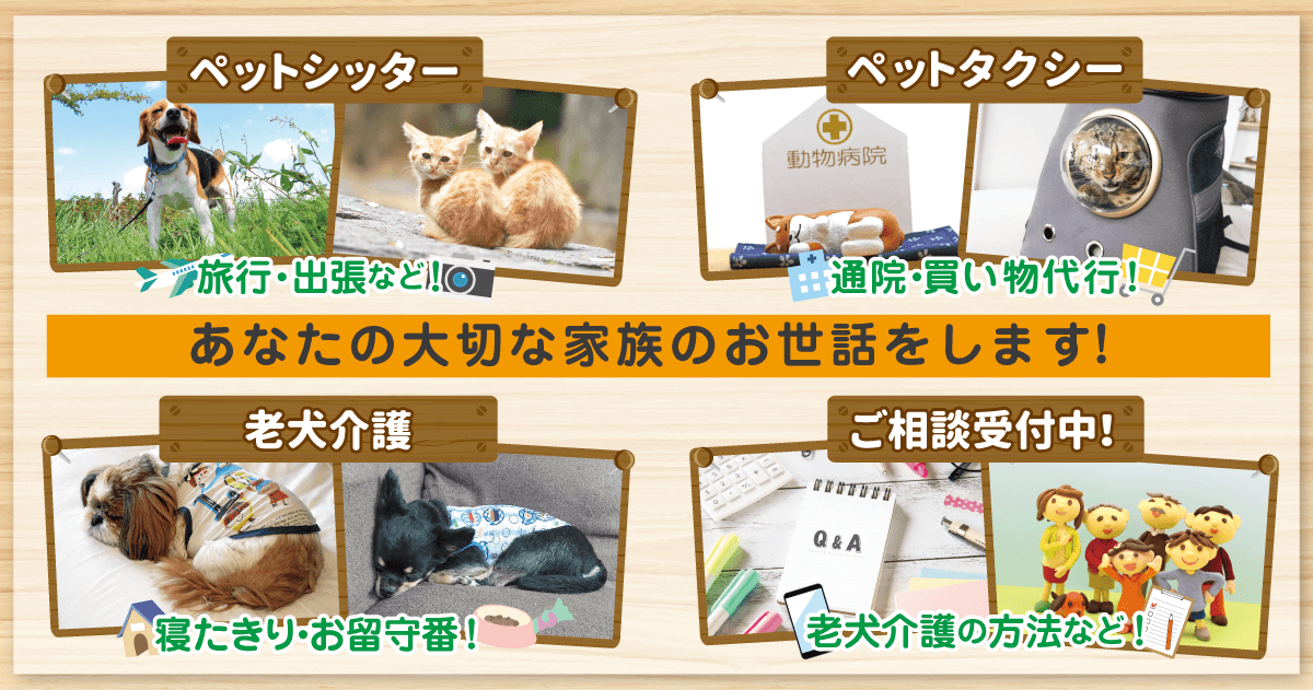 わんちゃん猫ちゃんをはじめとしたペットシッター 通院などにご利用ください、ペットタクシー 老犬の訪問介護で負担を軽く その他相談お受けします