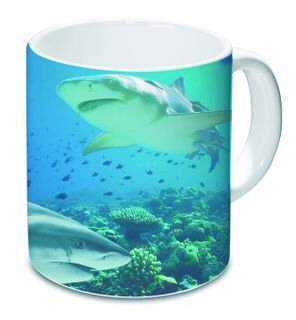 ME1010 CHOPE REQUIN