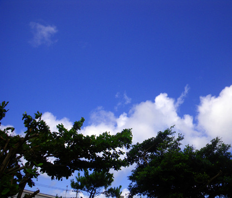 6月7日の空