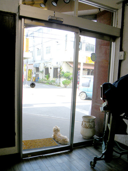 新井写真館の前