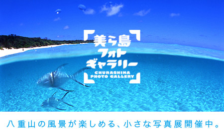 美ら島フォトギャラリー
