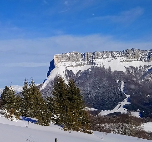 Paysage d'hiver