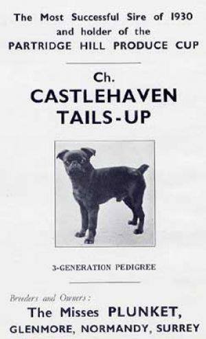 CASTLEHAVEN TAILS UP 1925