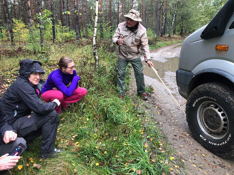 „Wohnmobil im Gelände – sicheres Manövrieren auf Waldboden und Geröll“