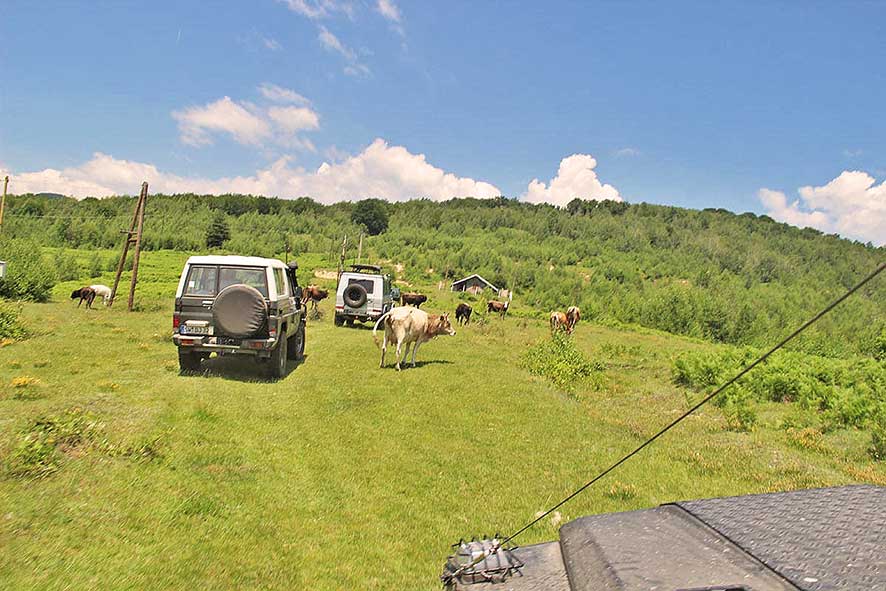 4x4 Offroad-Abenteuer in den Karpaten