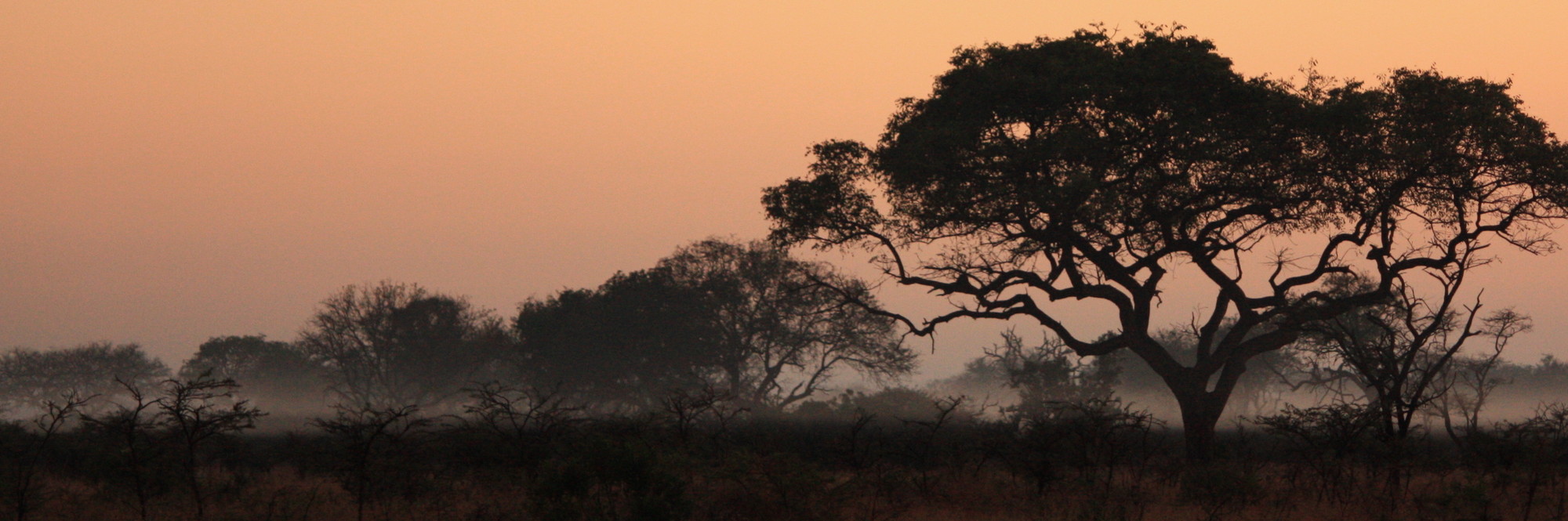 Bekanntschaften namibia