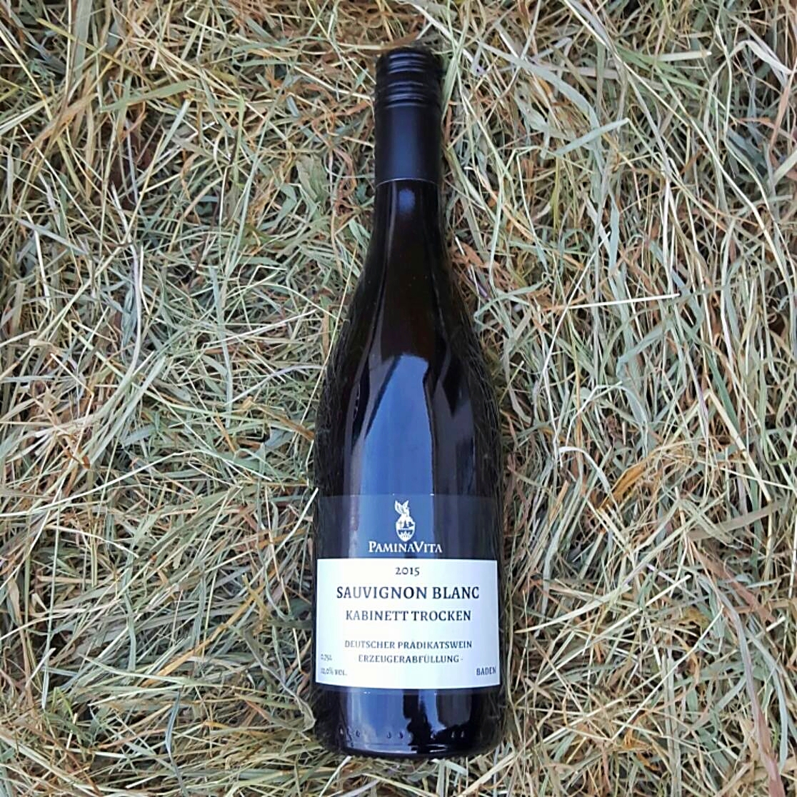 Sauvignon Blanc, Baden Spezialitäten aus Baden und der Pfalz