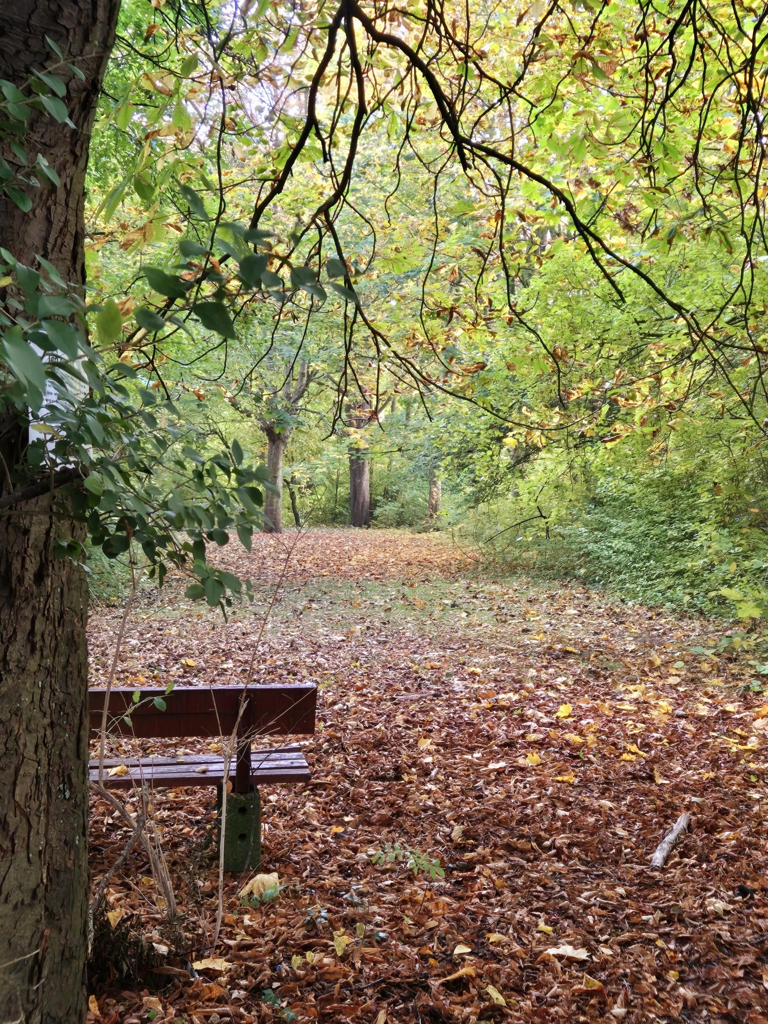 Foto: IG Blumenpflücker