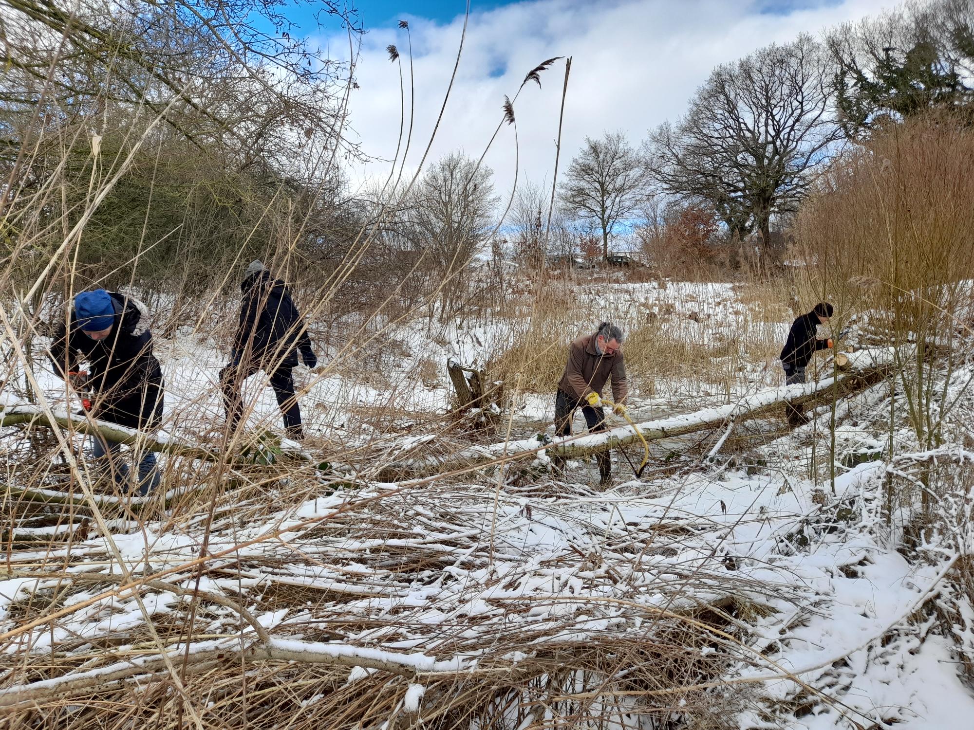 Foto: NABU / M. Ikert