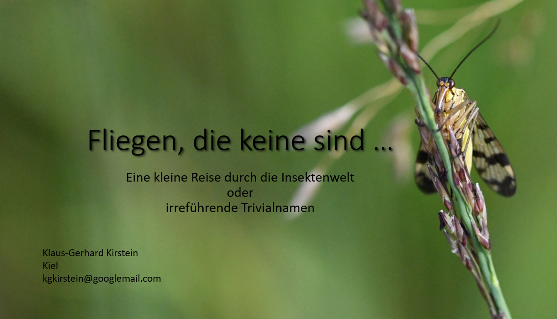 Titel - Foto: Klaus-Gerhard Kirstein