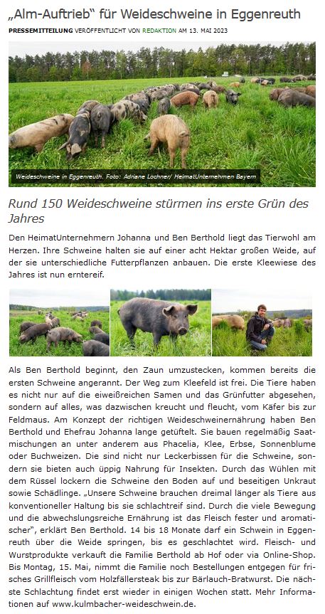 Alm Auftrieb für Weideschweine