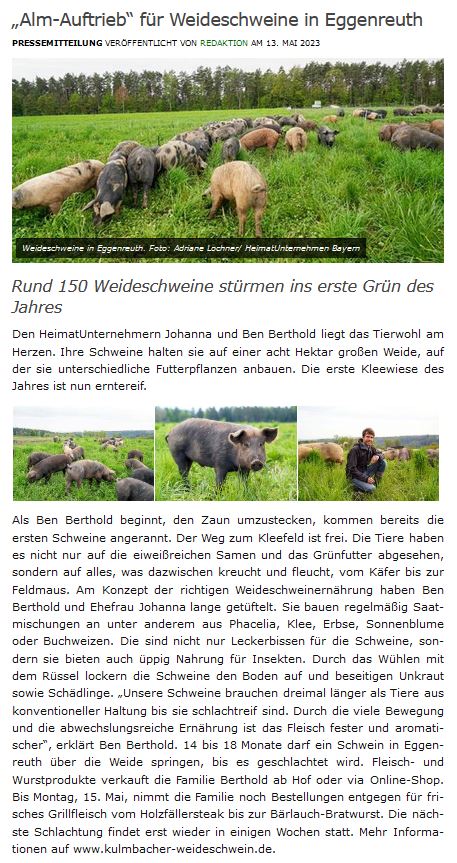 Alm Auftrieb für Weideschweine