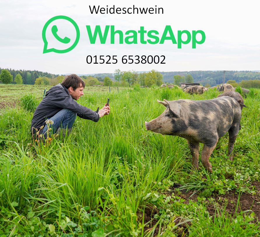 Kulmbacher Weideschwein bei WhatsApp