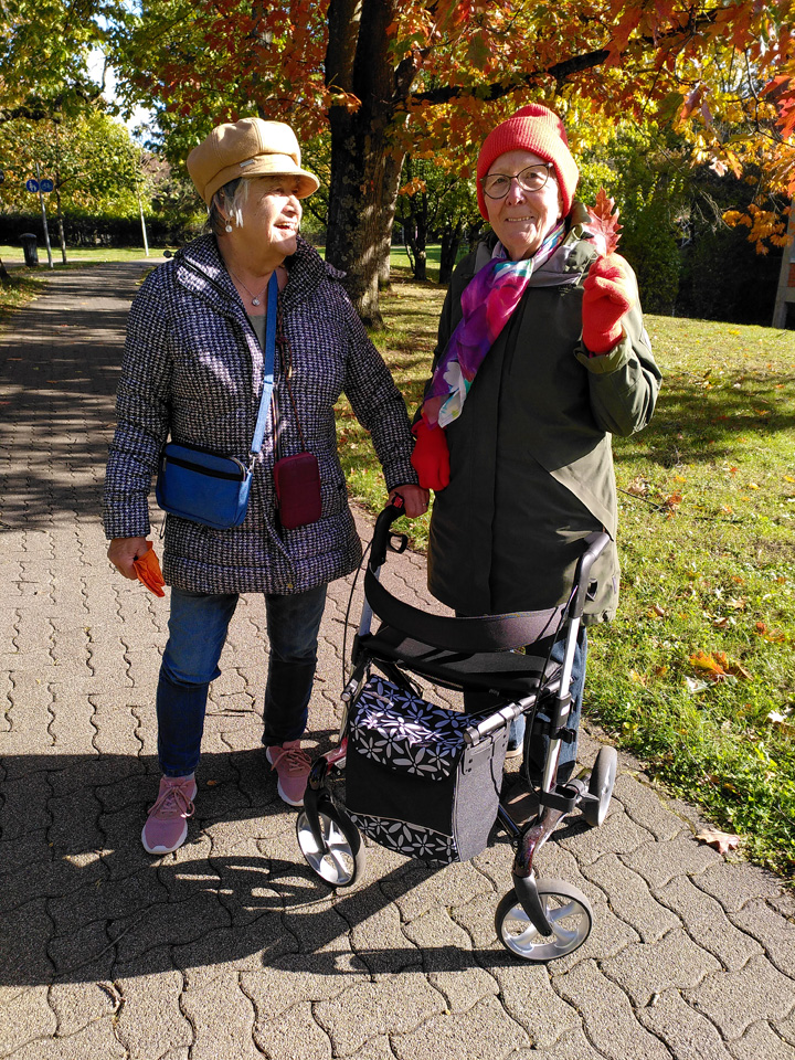 Rollator im Herbst