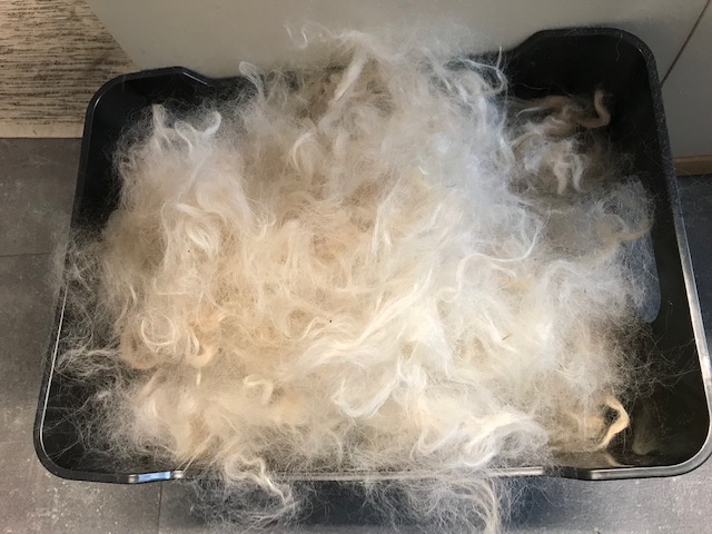 danach ist sie flauschig weich