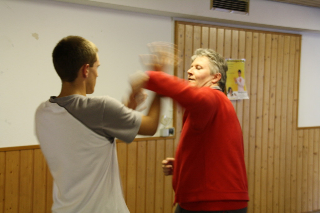 Prüfungslehrgang EWTO - WingTsun Schule Frankenthal