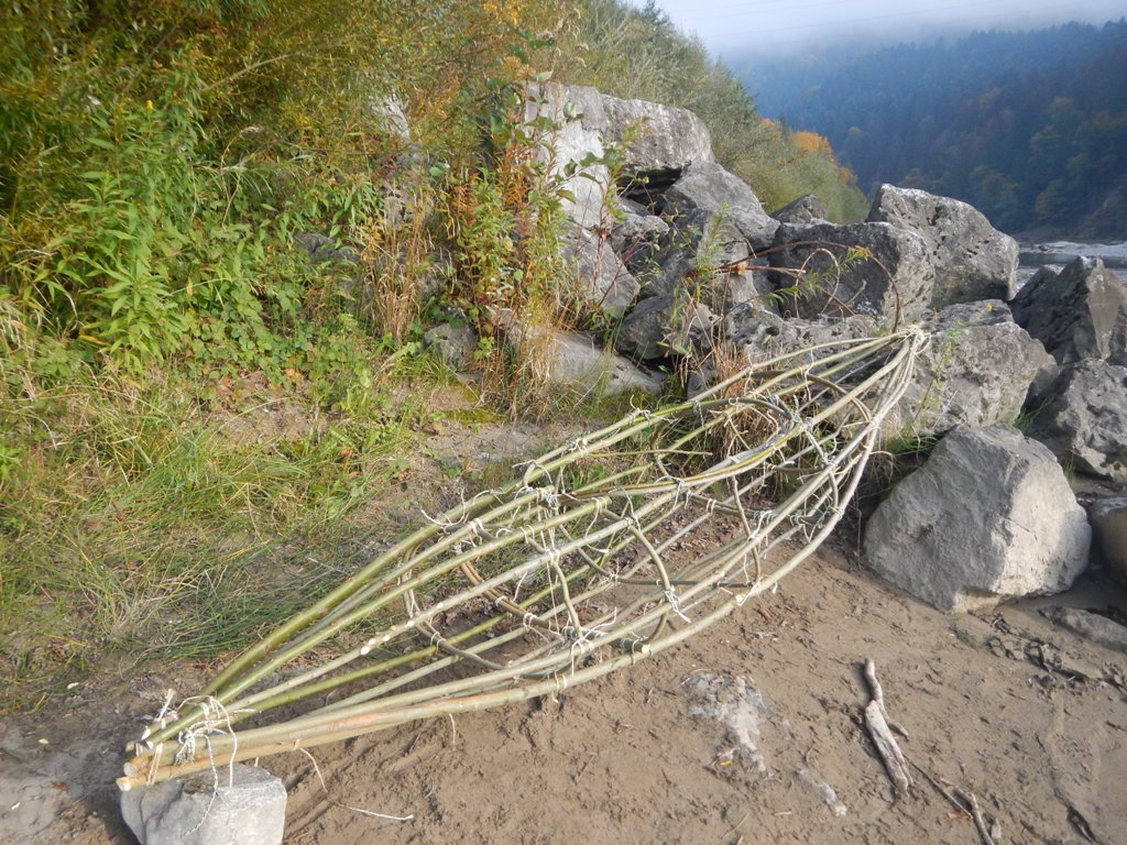 Das Weidenboot