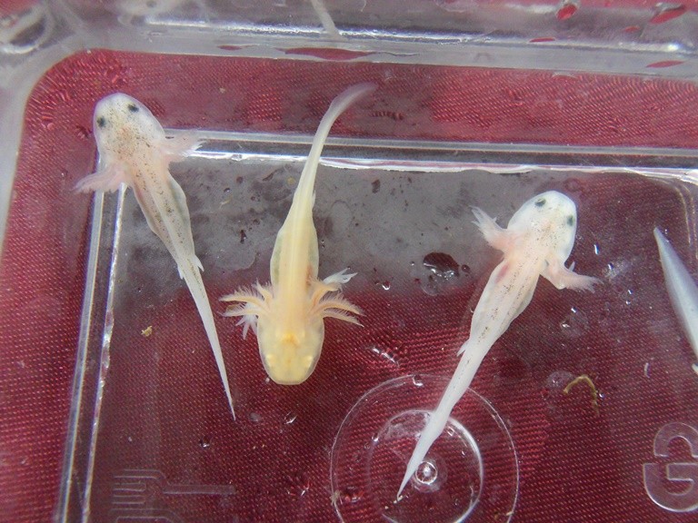 16.05.13