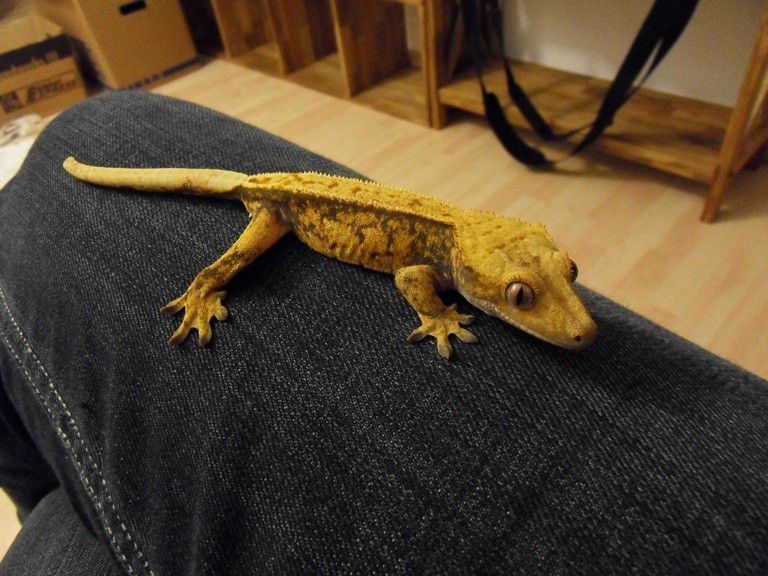 November 2012