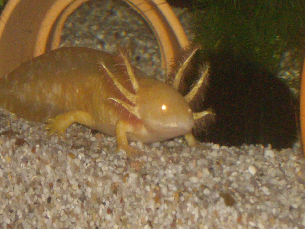 Oktober 2012