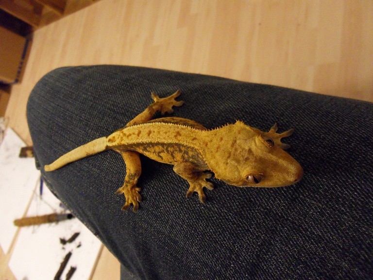 November 2012