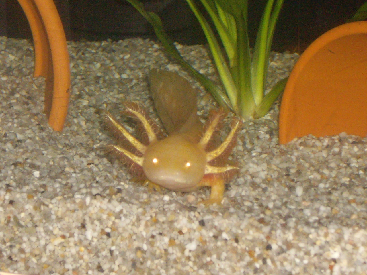 Oktober 2012