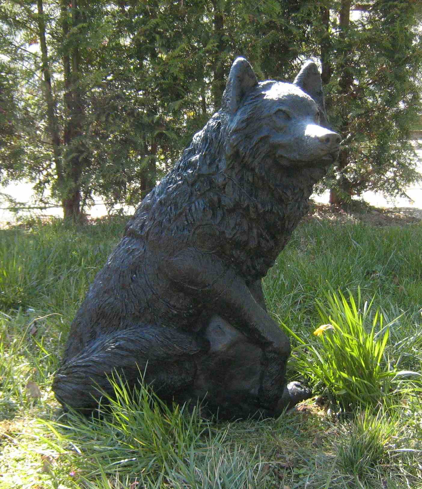 CSS Wolf schwarz CHF 157.00