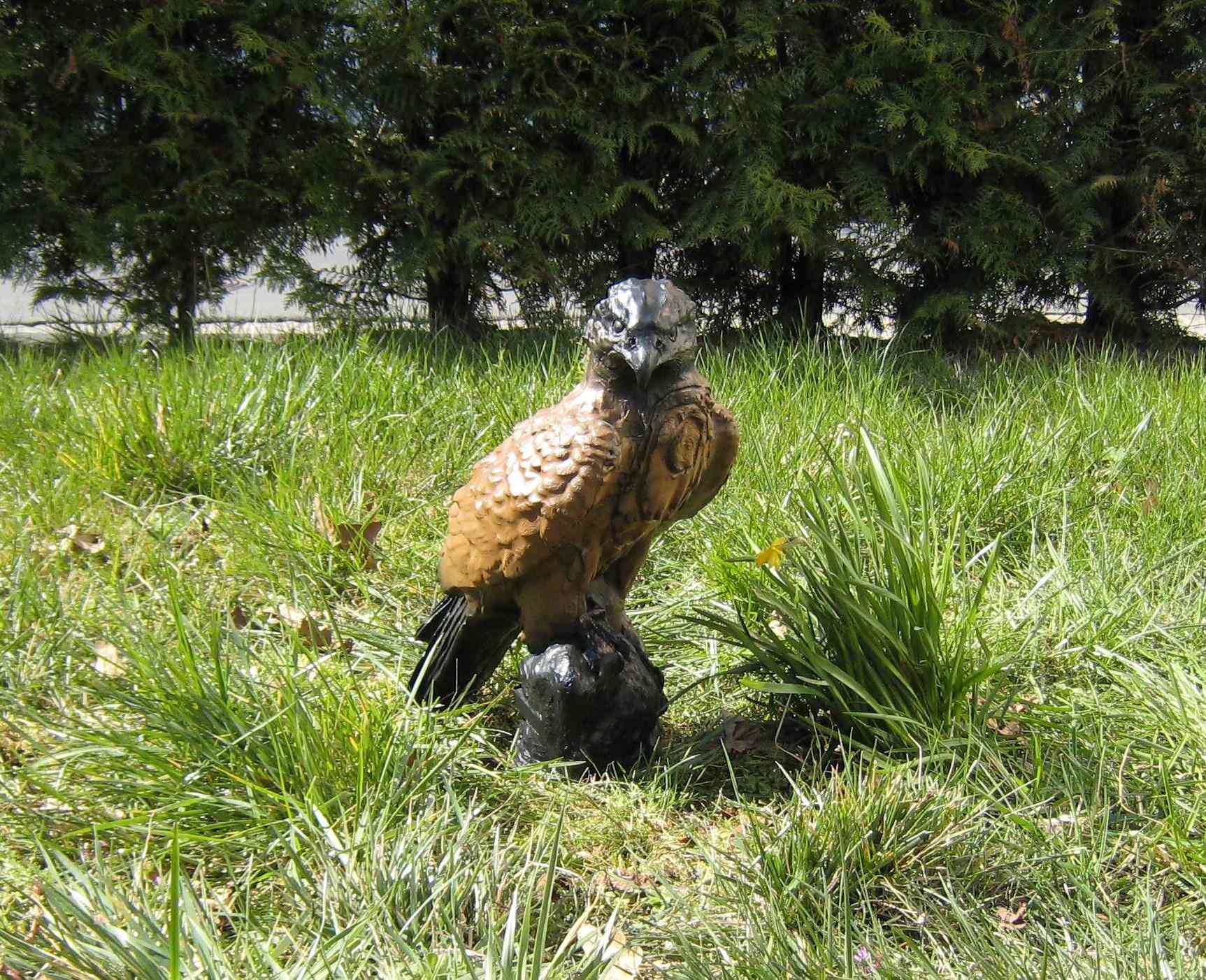 CSS Falke farbig CHF 67.00
