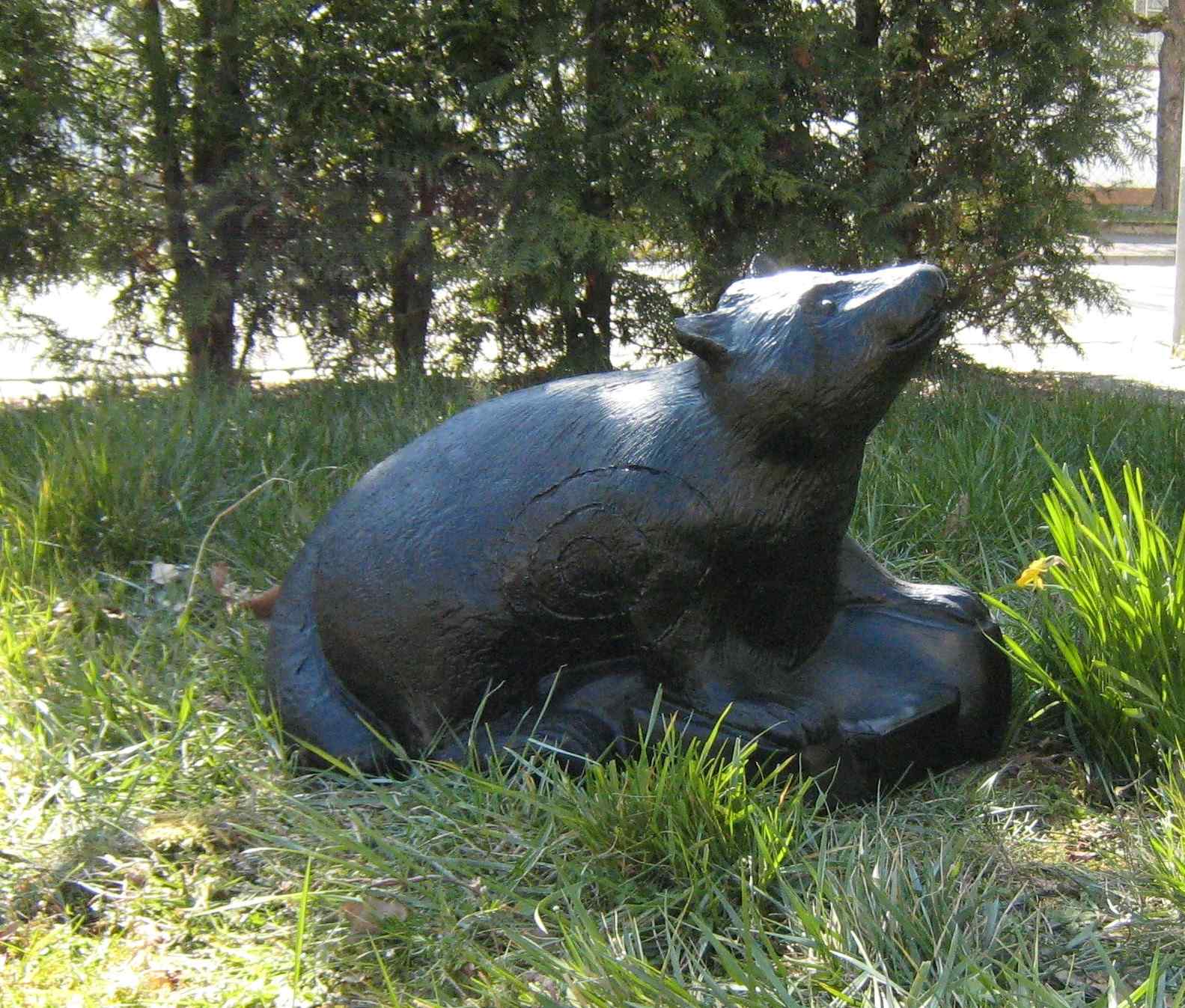 CSS Waschbär schwarz CHF 87.00