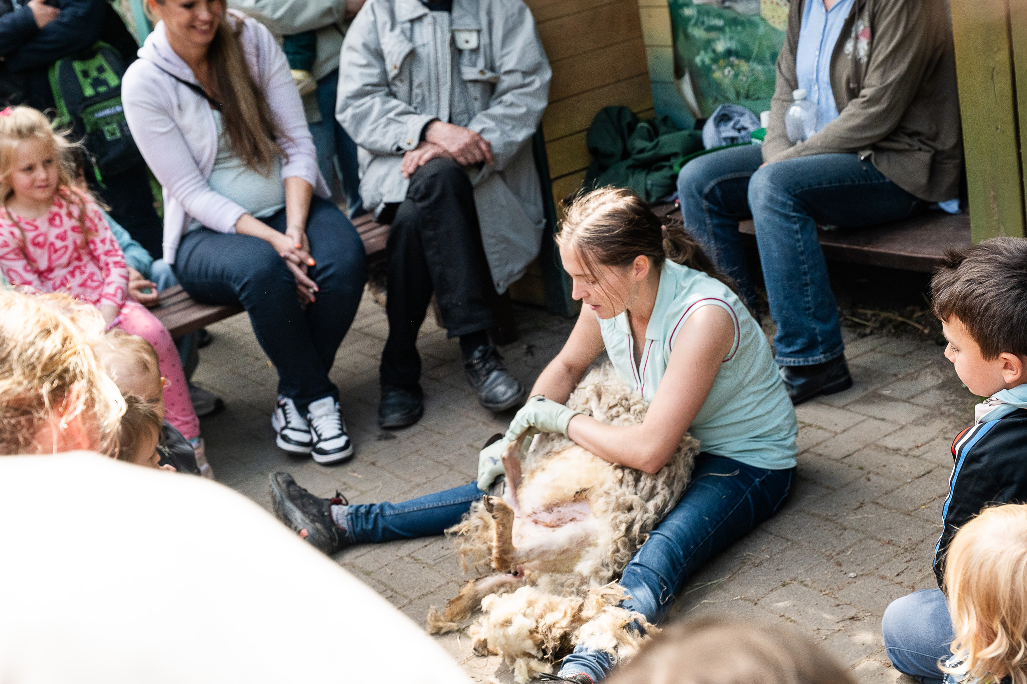 17. Mai - Sottrum - Vom Schaf zum Schal - Foto: Jan Felix Bergmann