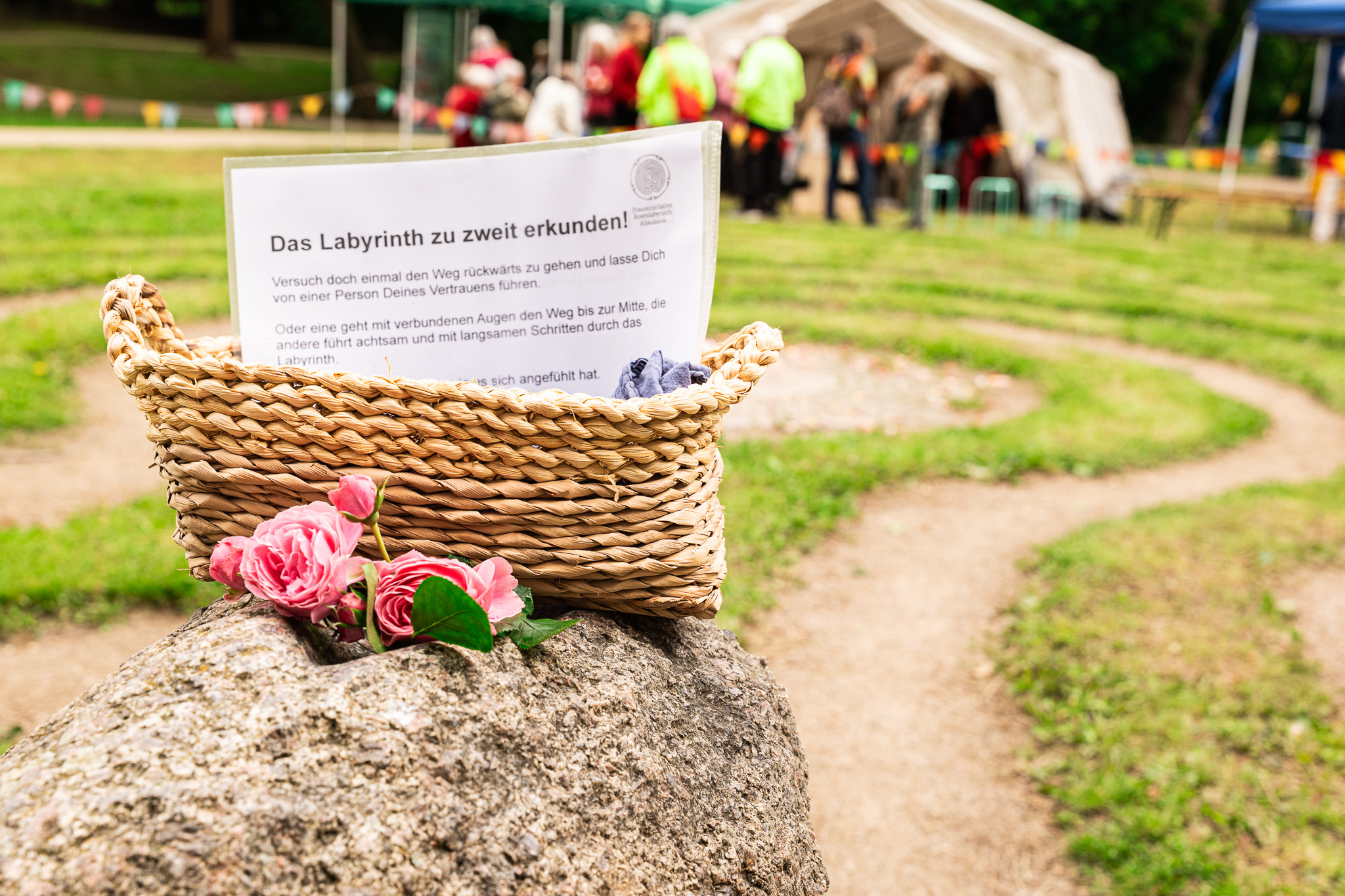 14. Juni - Hildesheim - Rosenlabyrinth - Foto: Jan Felix Bergmann